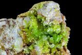 Vibrant Green Pyromorphite Crystal Cluster - China #112389-2